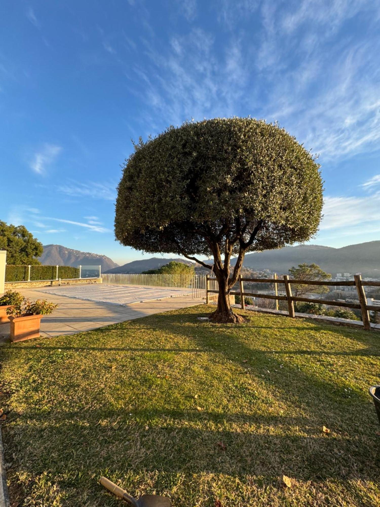 Veralto - Modern Suite With Como Lake View 바칼로 외부 사진